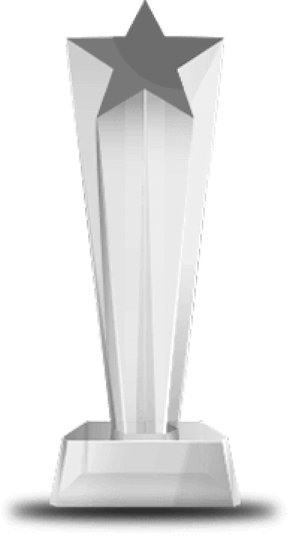 Winning Trophy